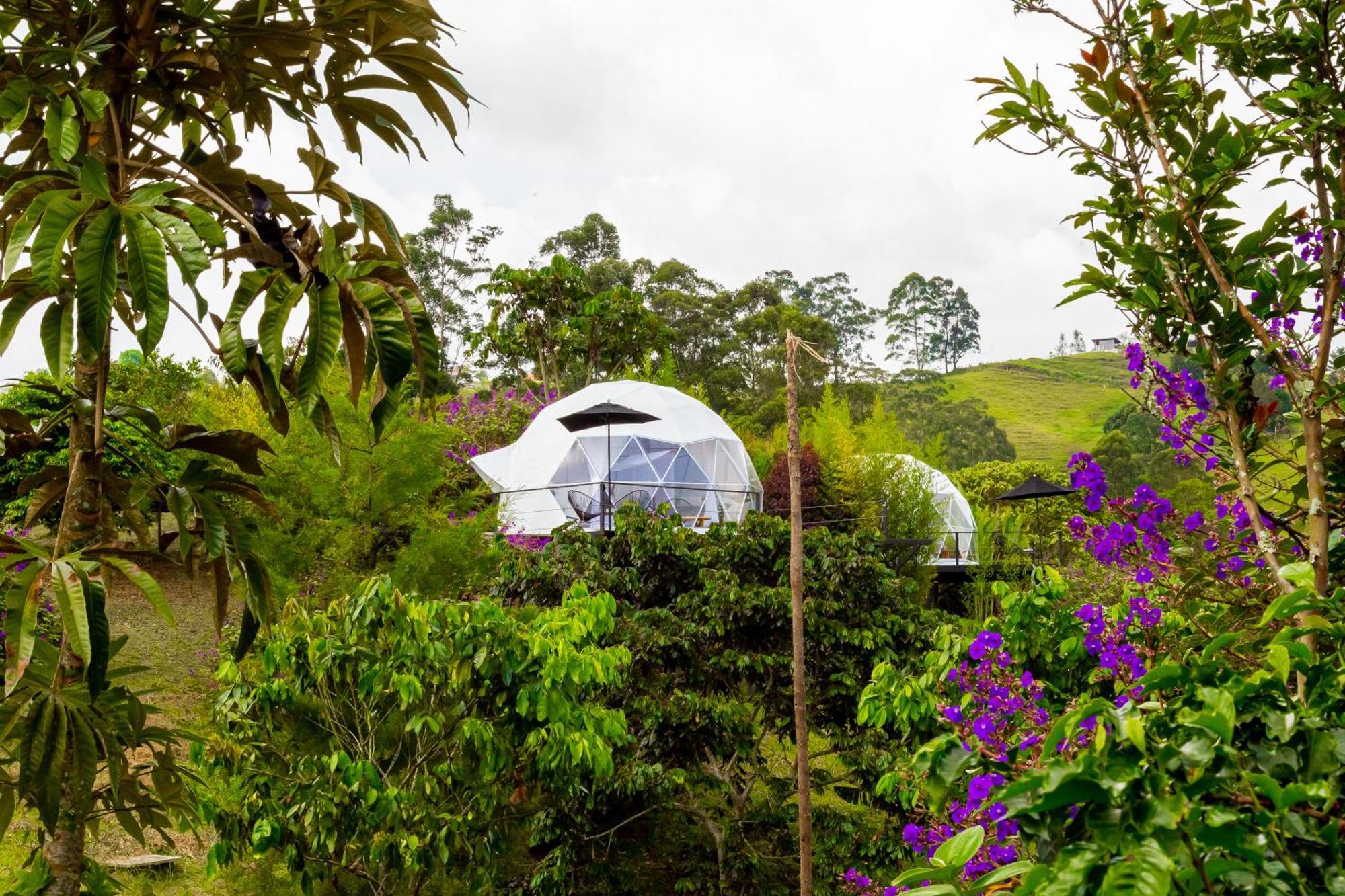 Ecohotel Monte Tierra Habitaciones Y Glamping Filandia Quarto foto